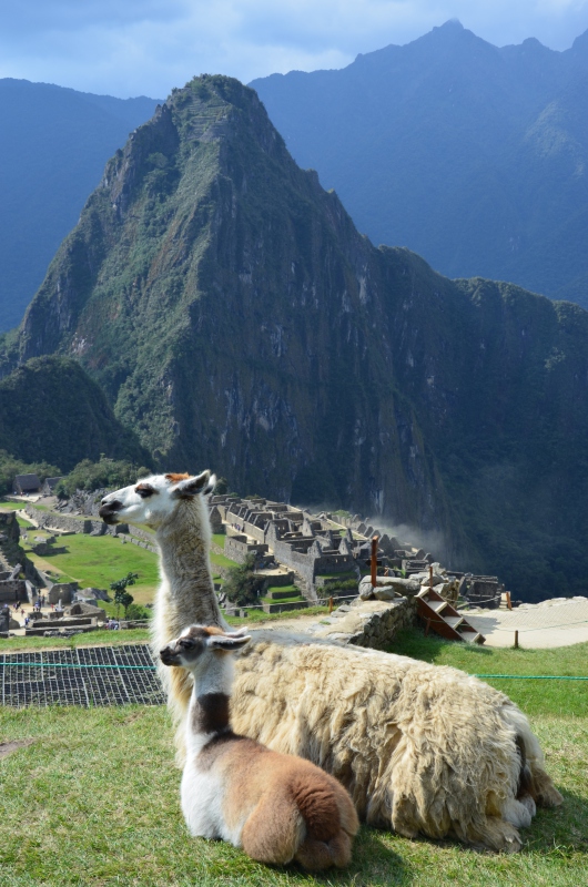 Machu Picchu // Mein Weg zur geheimnisvollen Inkastadt